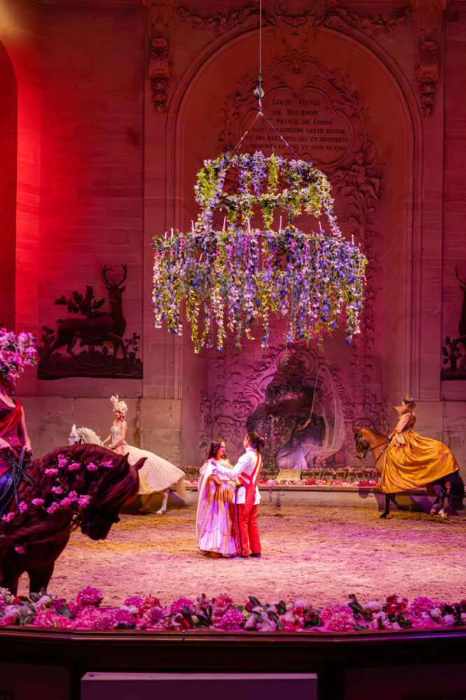 Spectacle équestre de Noël Désirée - Compagnie équestre du Château de Chantilly