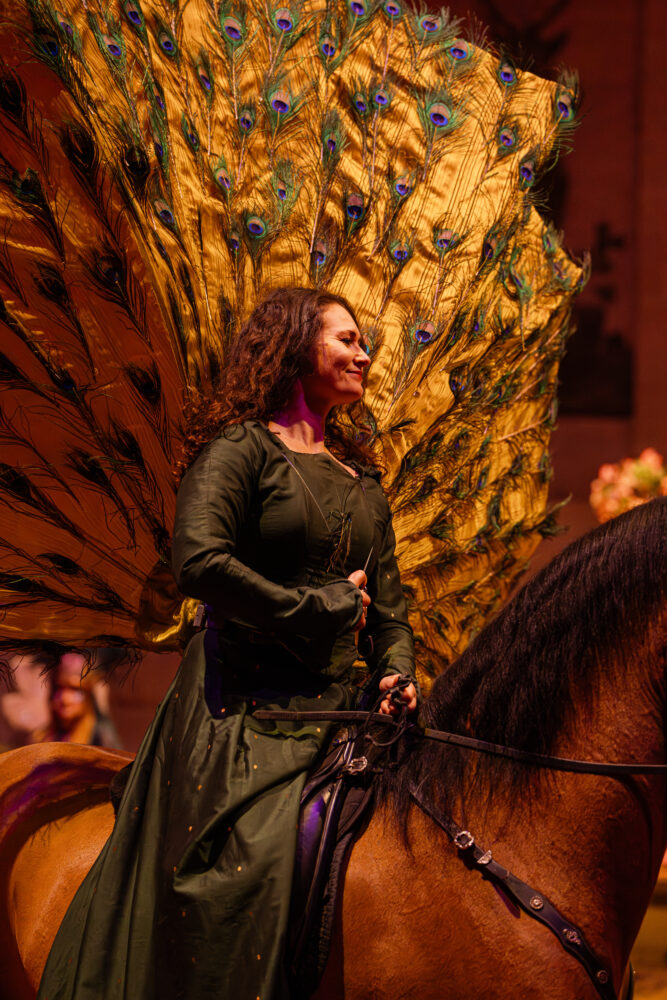 Spectacle équestre de Noël Désirée - Compagnie équestre du Château de Chantilly